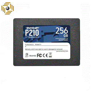اس اس دی پتریوت Patriot P210 SATA III 2.5inch 256GB