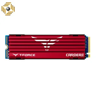 اس اس دی اینترنال M2 2280 تیم گروپ مدل CARDEA II ظرفیت 512 گیگابایت