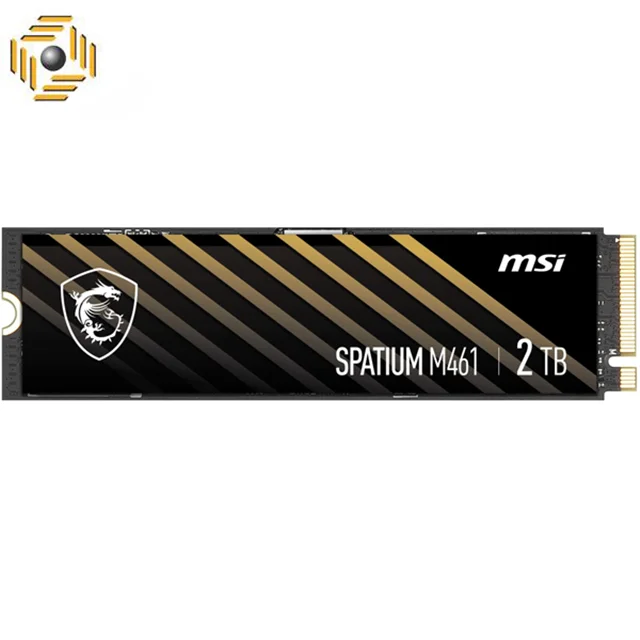 اس اس دی اینترنال ام اس آی مدل Spatium M461 2TB ظرفیت 2ترابایت